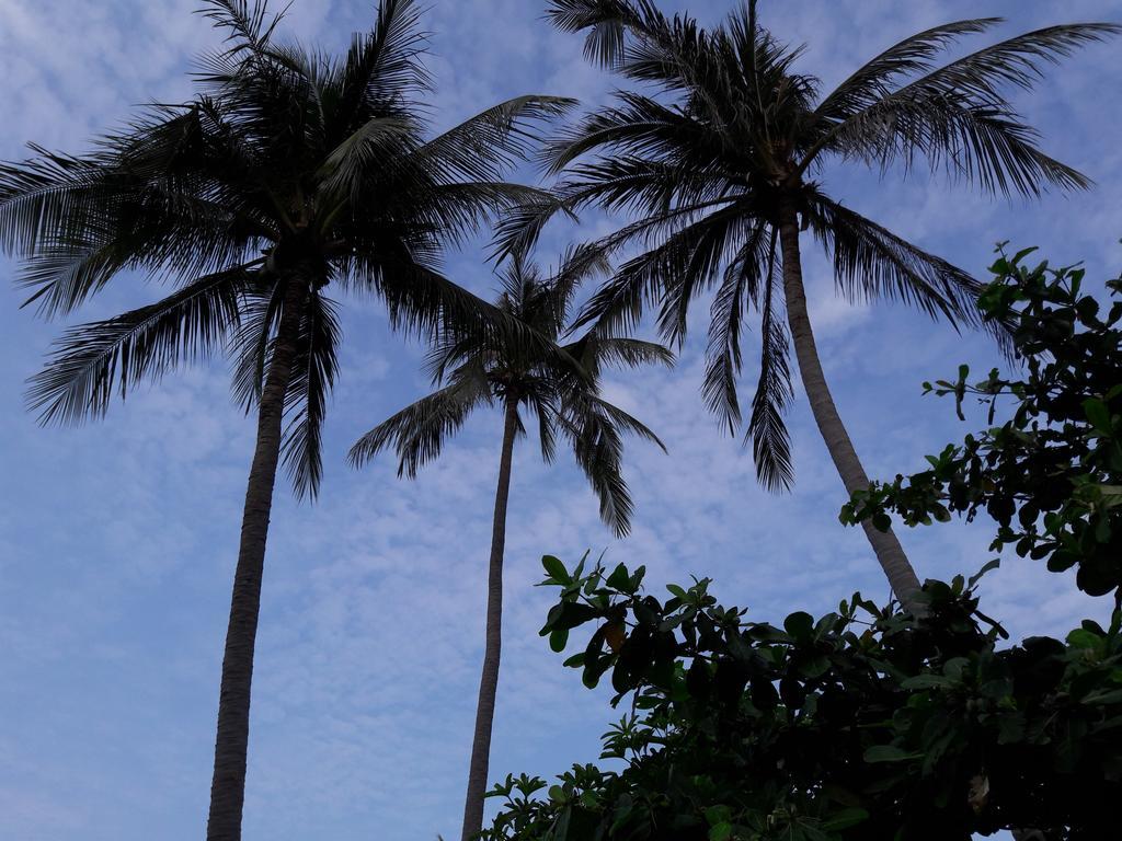 Bach Duong Hotel Phan Thiết Eksteriør billede